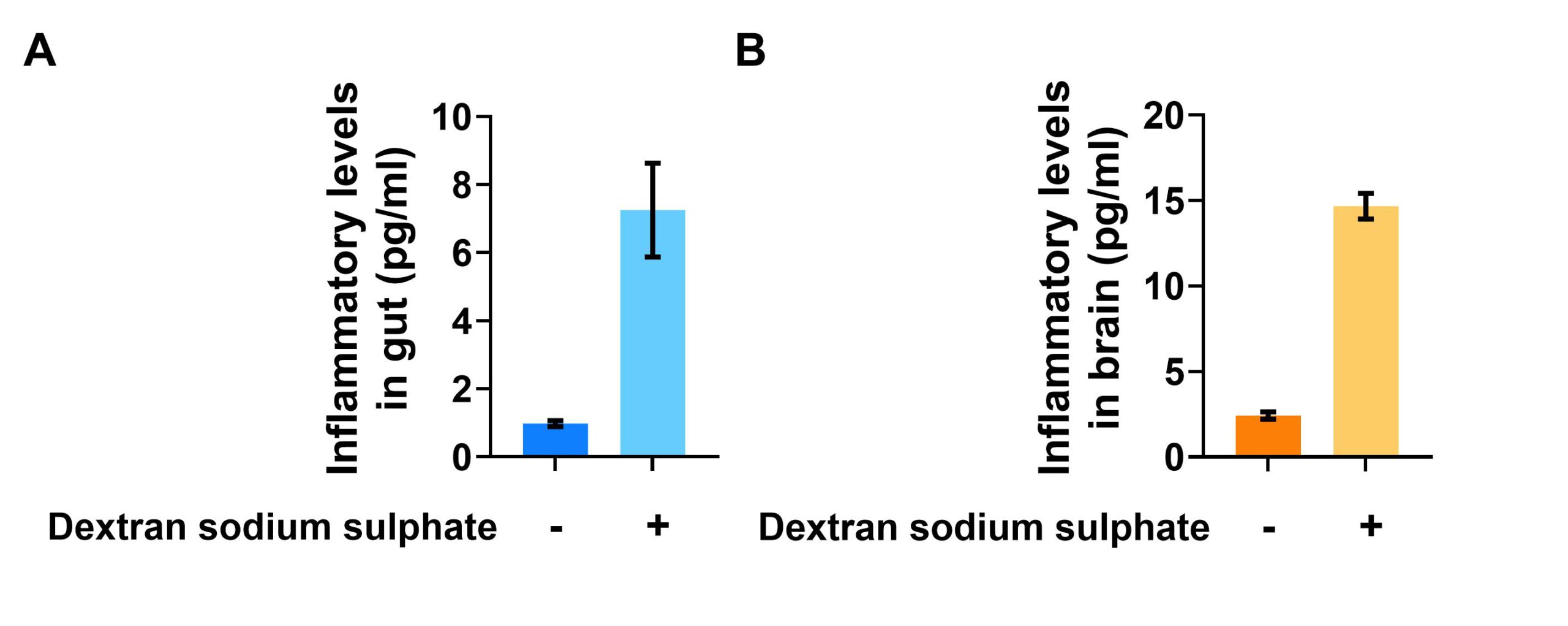 A graph showing levels of inflammatory response in the (A) gut and (B) brain in the presence or absence of a compound called dextran sodium sulphate.